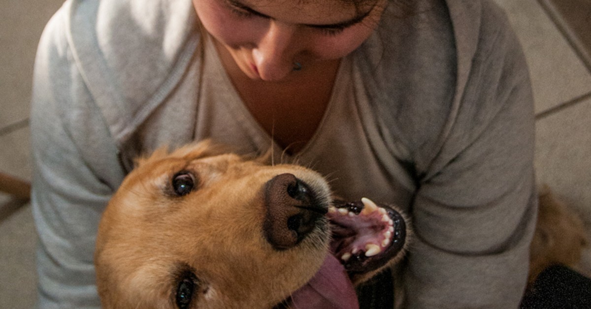 Las Mejores Clínicas Veterinarias De Maipú 8973